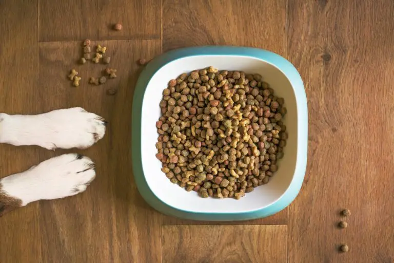 Valu Pak Dog Food – Read Before You Feed! (2023 Updated)