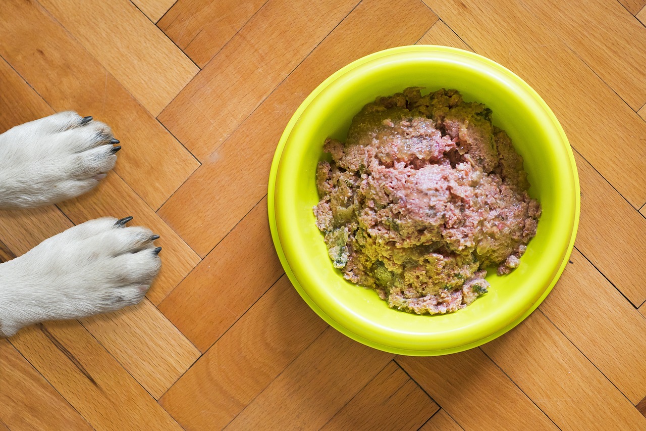 what is chicken meal in dog food