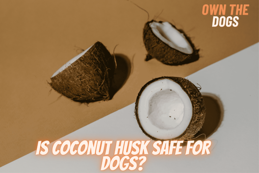is coconut husk safe for dogs