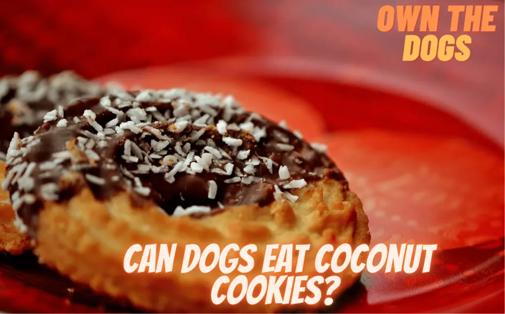 can dogs eat coconut cookies