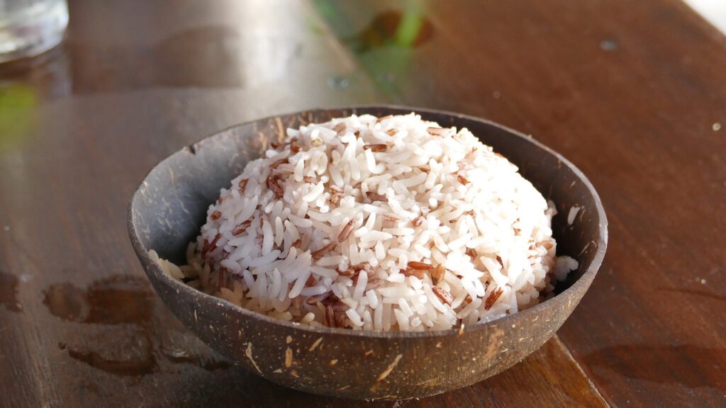 can dogs eat coconut rice