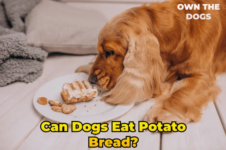 Can Dogs Eat Potato Bread? A Comprehensive Guide (2023)